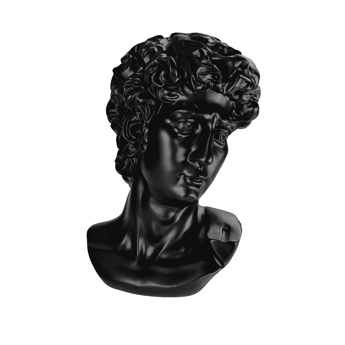 The Modern David in Black – Classical Renaissance Sculpture Reimagined in Contemporary Monochrome | Luxury Modern Wall Art Print for Living Room, Bedroom, Office & Gallery Decor