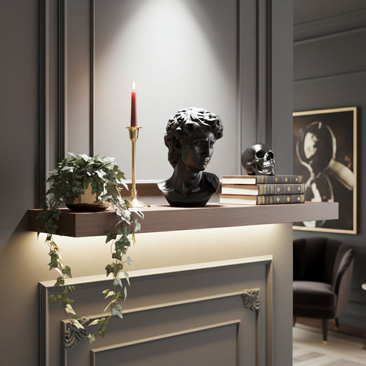 The Modern David in Black – Classical Renaissance Sculpture Reimagined in Contemporary Monochrome | Luxury Modern Wall Art Print for Living Room, Bedroom, Office & Gallery Decor
