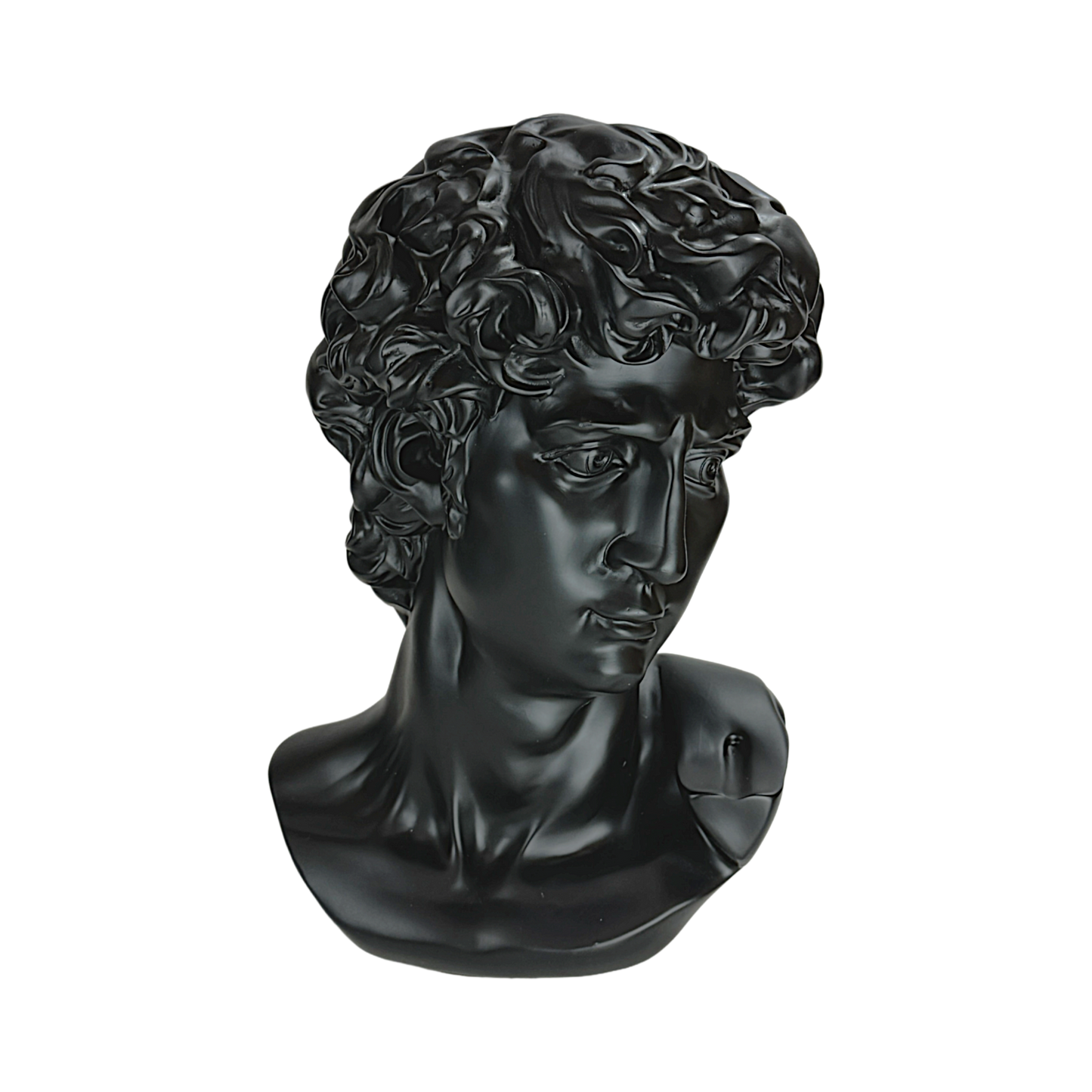 The Modern David: Classic art, reimagined in black.