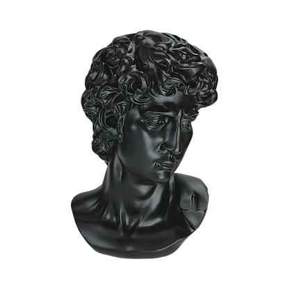 The Modern David: Classic art, reimagined in black.