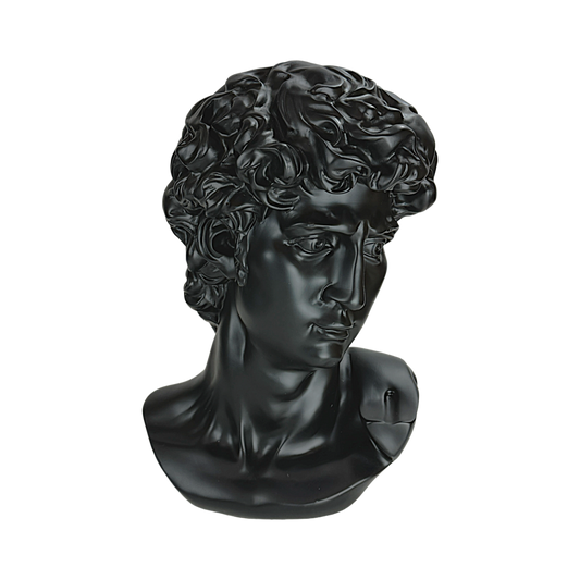 The Modern David: Classic art, reimagined in black.