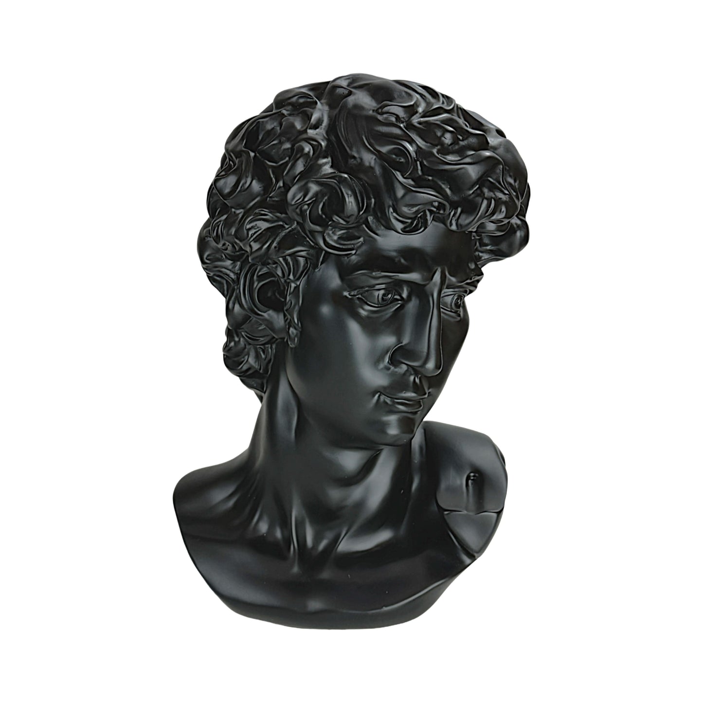 The Modern David in Black – Classical Renaissance Sculpture Reimagined in Contemporary Monochrome | Luxury Modern Wall Art Print for Living Room, Bedroom, Office & Gallery Decor