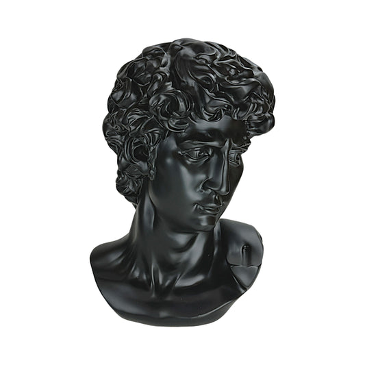 The Modern David in Black – Classical Renaissance Sculpture Reimagined in Contemporary Monochrome | Luxury Modern Wall Art Print for Living Room, Bedroom, Office & Gallery Decor