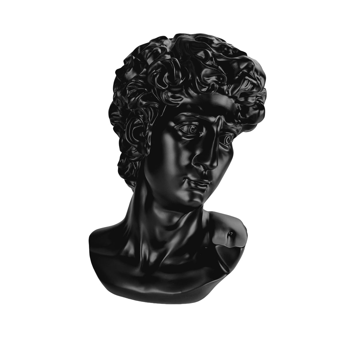 The Modern David in Black – Classical Renaissance Sculpture Reimagined in Contemporary Monochrome | Luxury Modern Wall Art Print for Living Room, Bedroom, Office & Gallery Decor