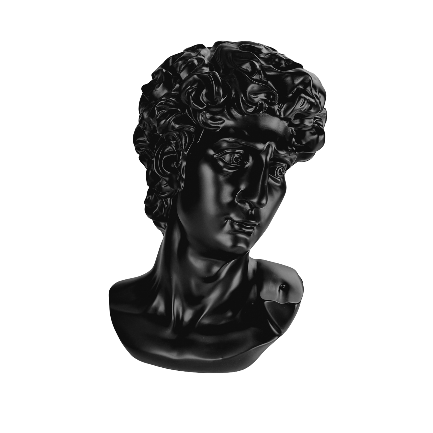 The Modern David: Classic art, reimagined in black.