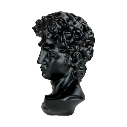 The Modern David in Black – Classical Renaissance Sculpture Reimagined in Contemporary Monochrome | Luxury Modern Wall Art Print for Living Room, Bedroom, Office & Gallery Decor