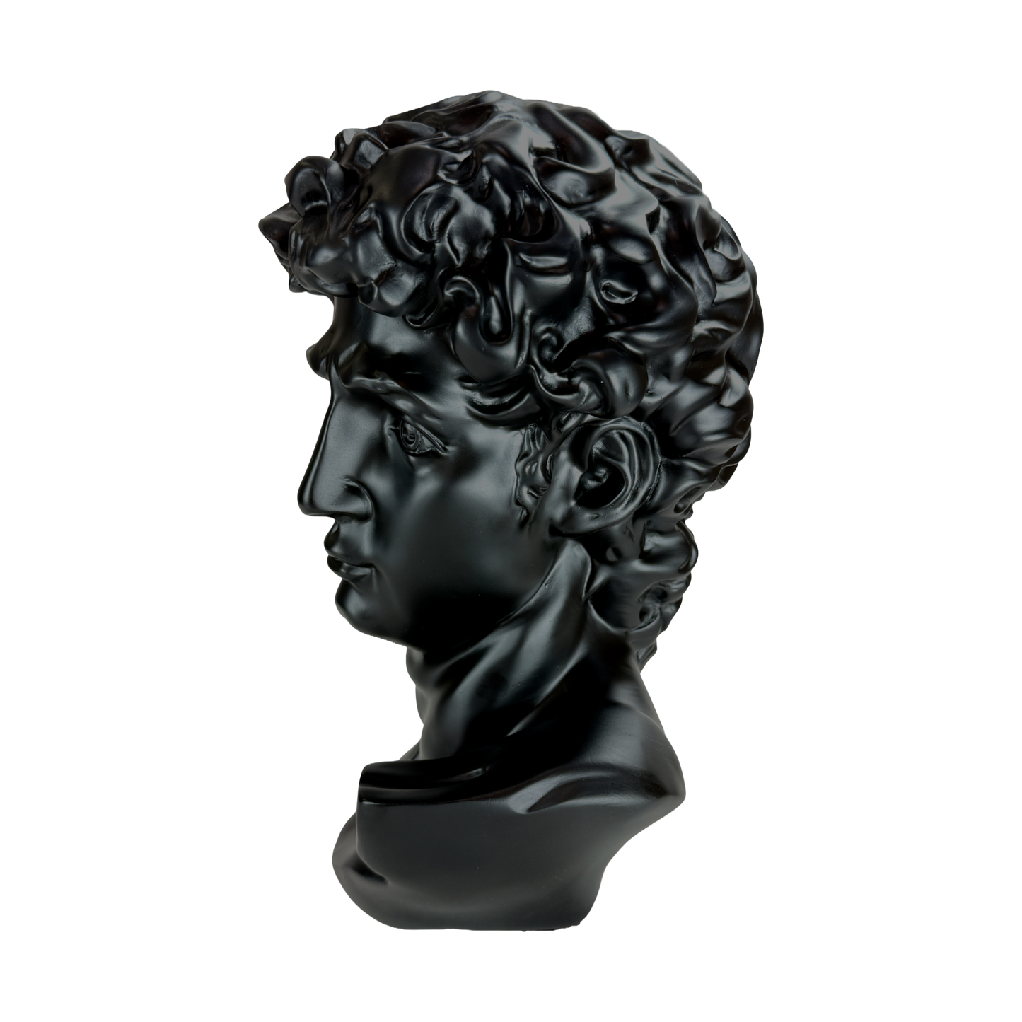 The Modern David: Classic art, reimagined in black.