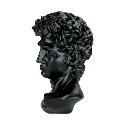 The Modern David: Classic art, reimagined in black.
