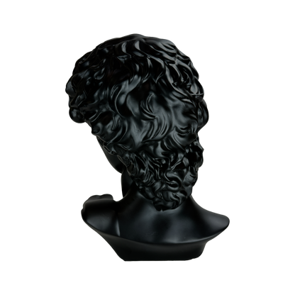 The Modern David: Classic art, reimagined in black.