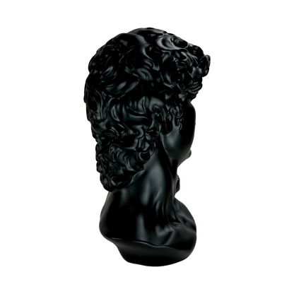 The Modern David: Classic art, reimagined in black.