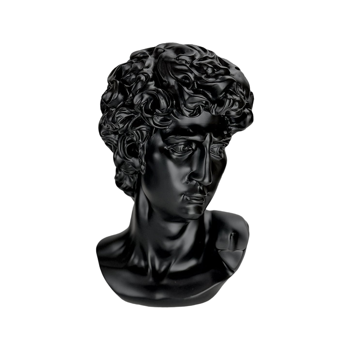 The Modern David in Black – Classical Renaissance Sculpture Reimagined in Contemporary Monochrome | Luxury Modern Wall Art Print for Living Room, Bedroom, Office & Gallery Decor