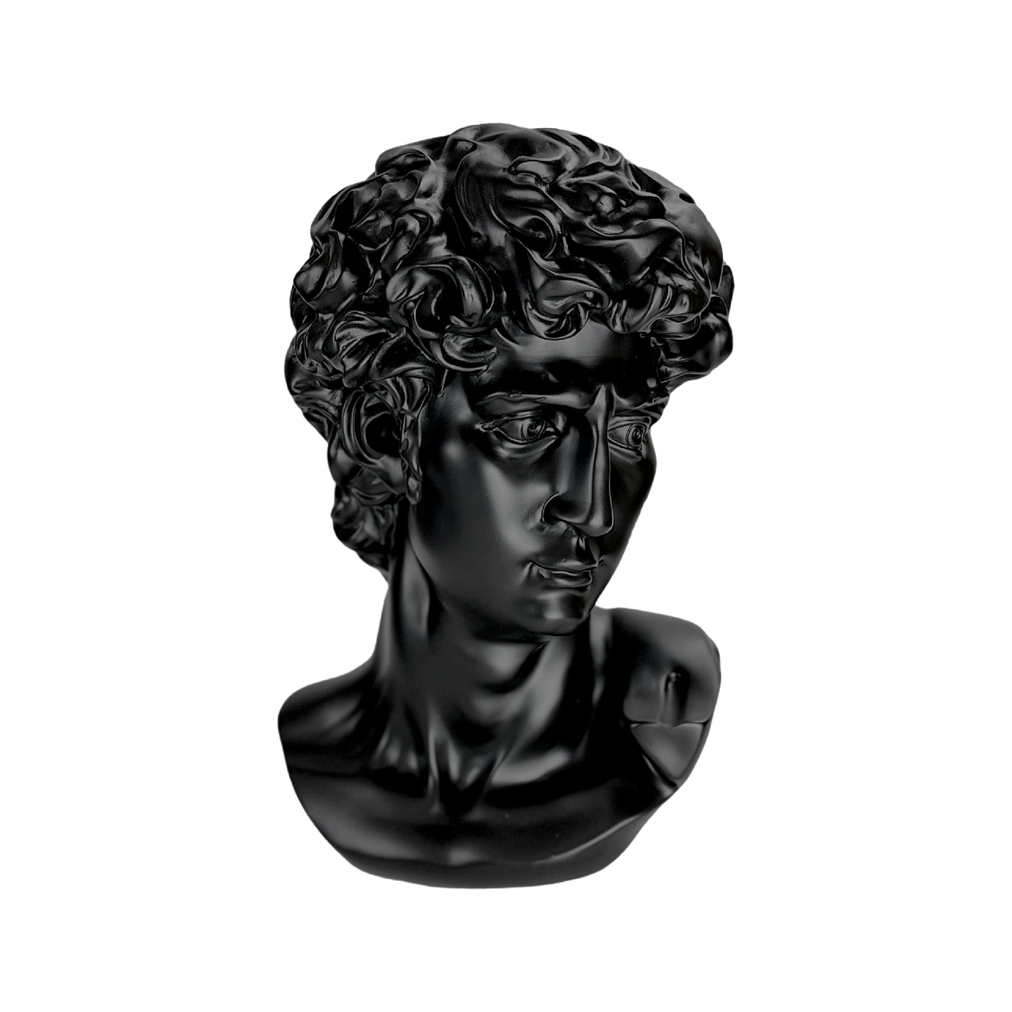 The Modern David: Classic art, reimagined in black.