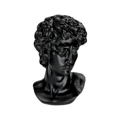 The Modern David: Classic art, reimagined in black.