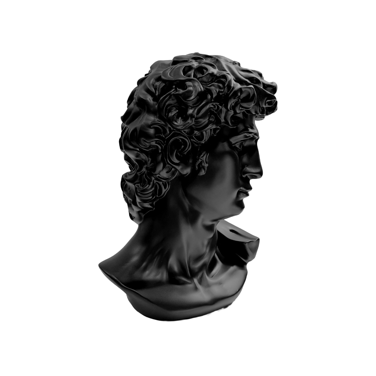 The Modern David: Classic art, reimagined in black.