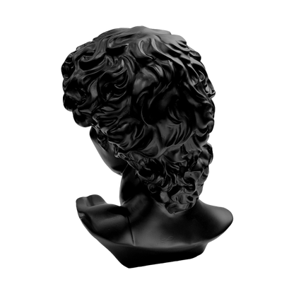 The Modern David: Classic art, reimagined in black.