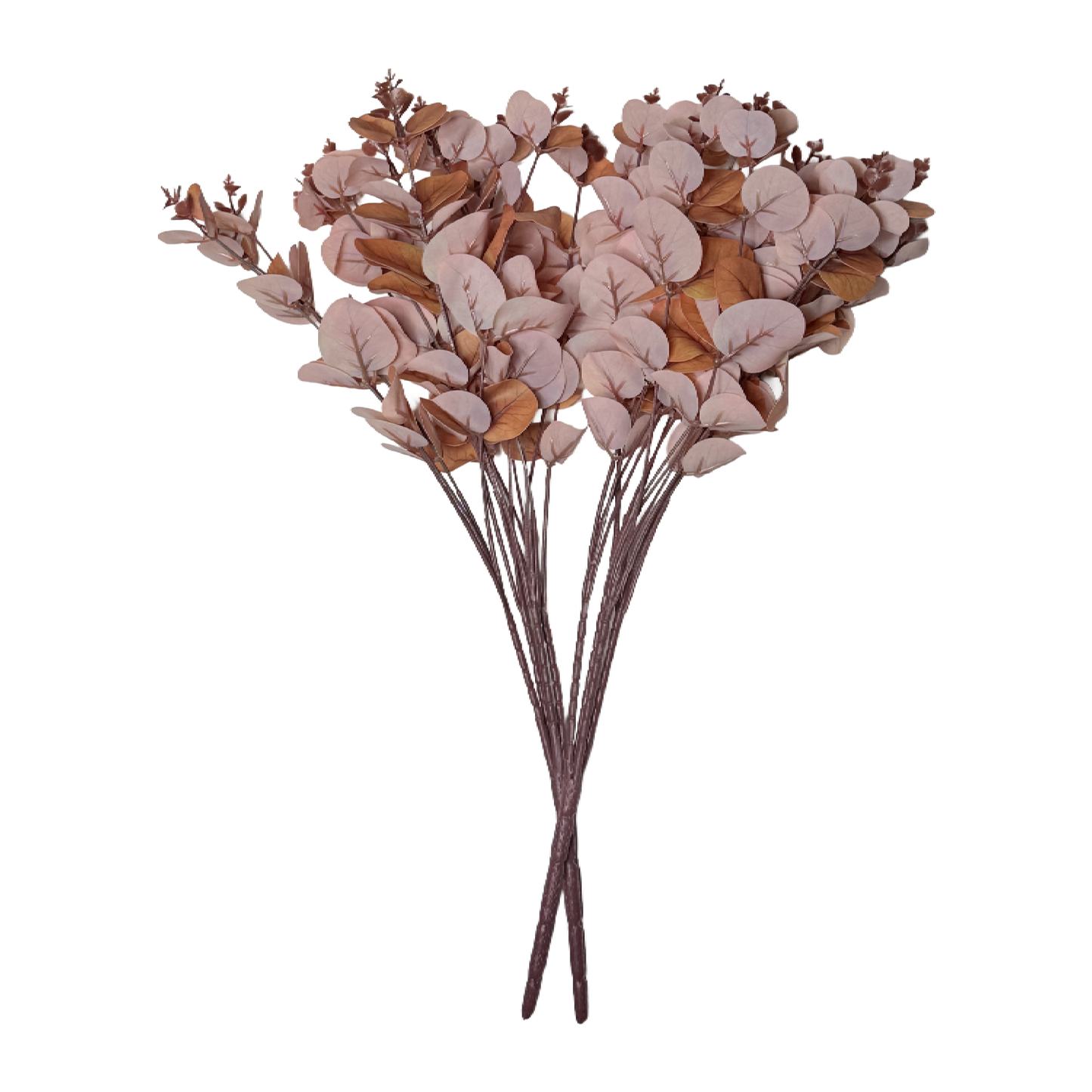 The Blush Eucalyptus: Soft elegance in every stem.