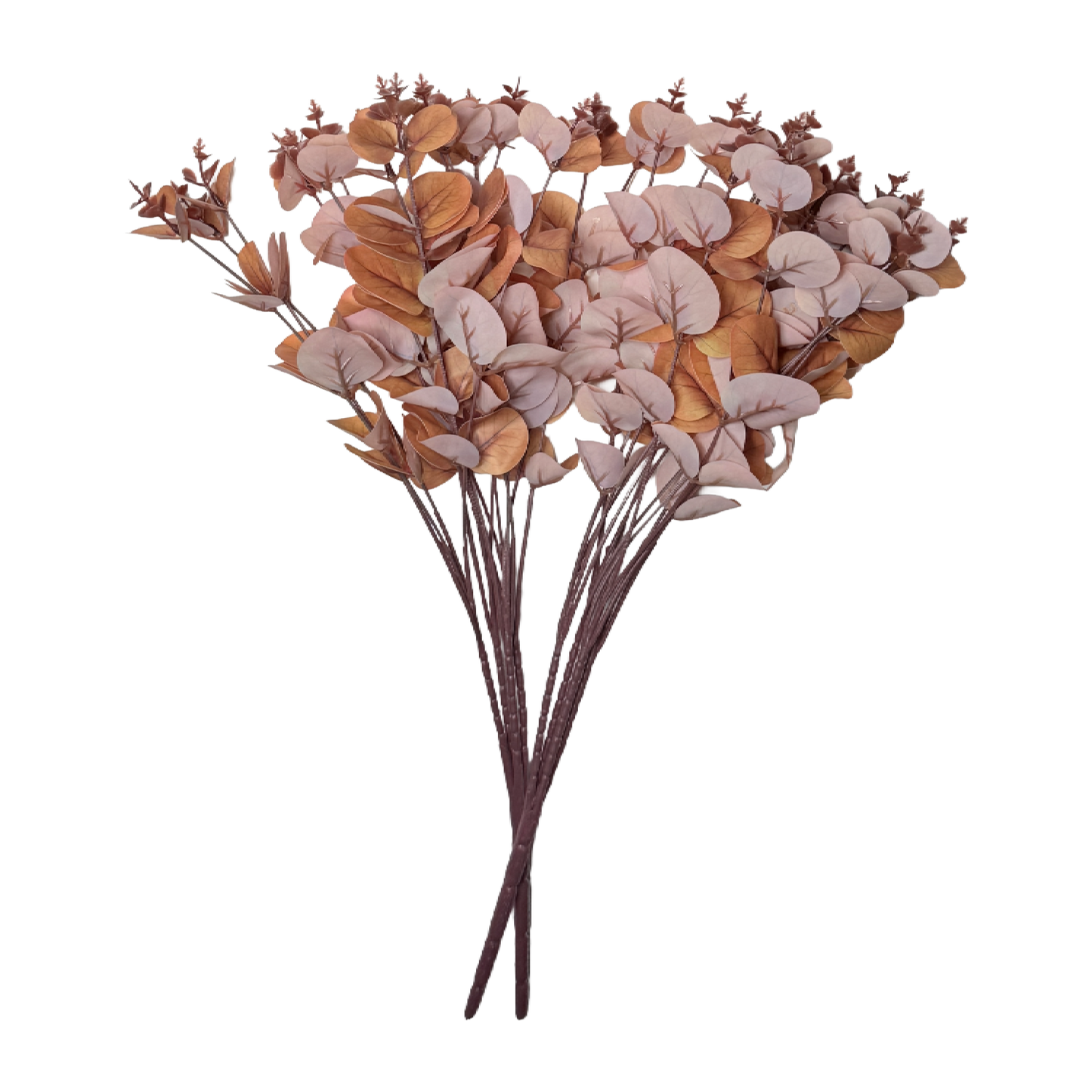 The Blush Eucalyptus: Soft elegance in every stem.