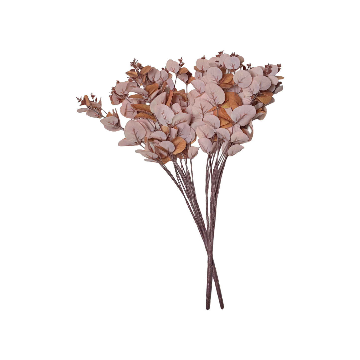 The Blush Eucalyptus: Soft elegance in every stem.