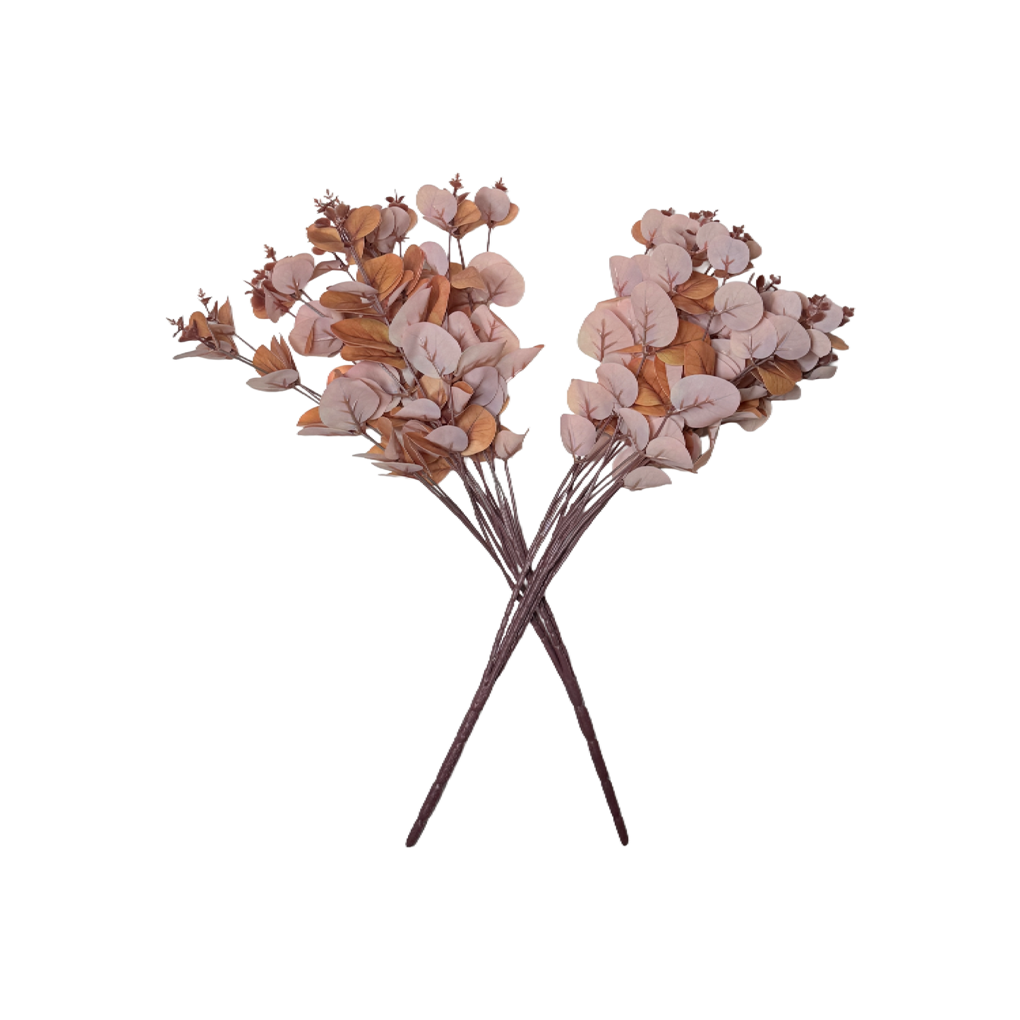 The Blush Eucalyptus: Soft elegance in every stem.
