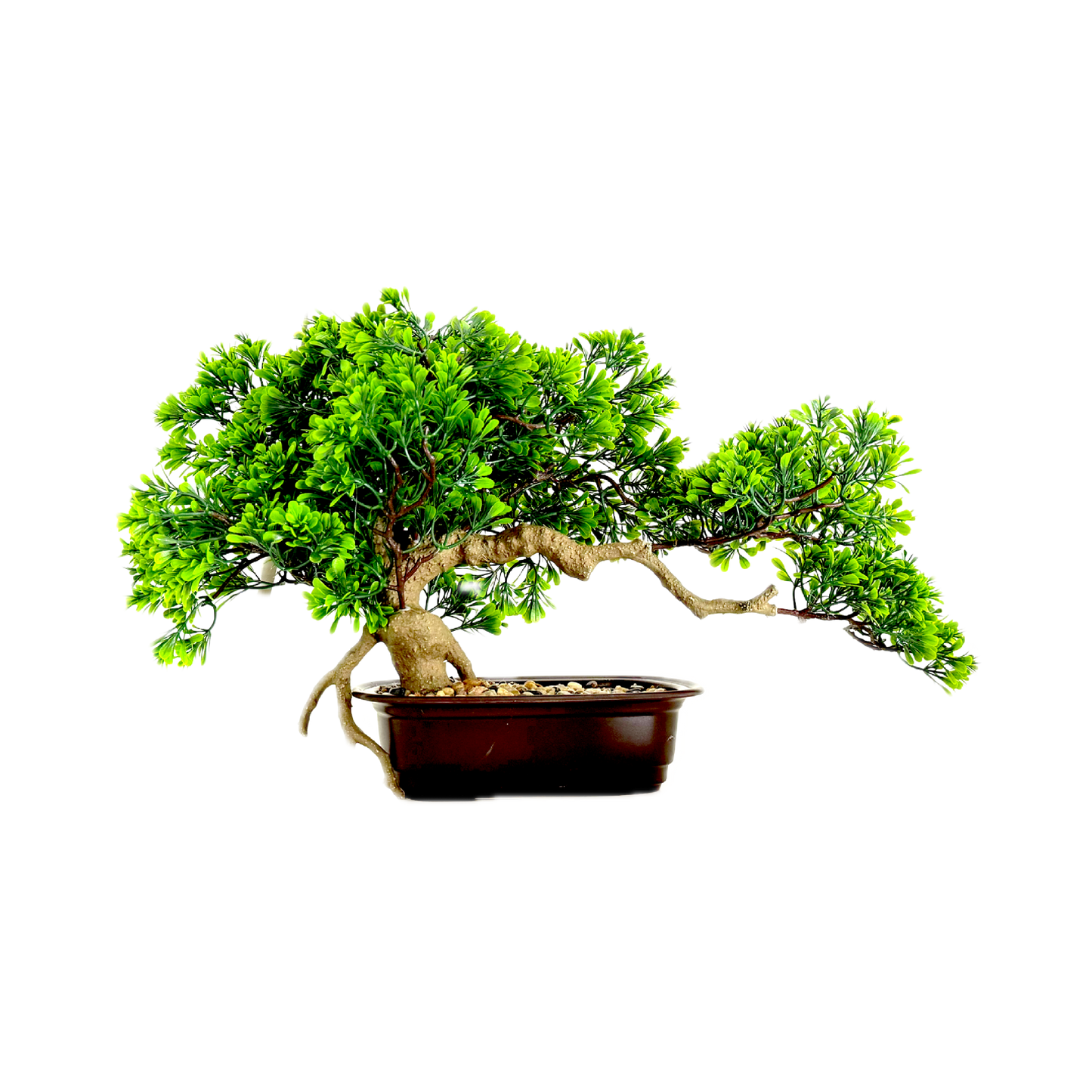 The Tranquil Bonsai: Nature’s art, sculpted in stillness.