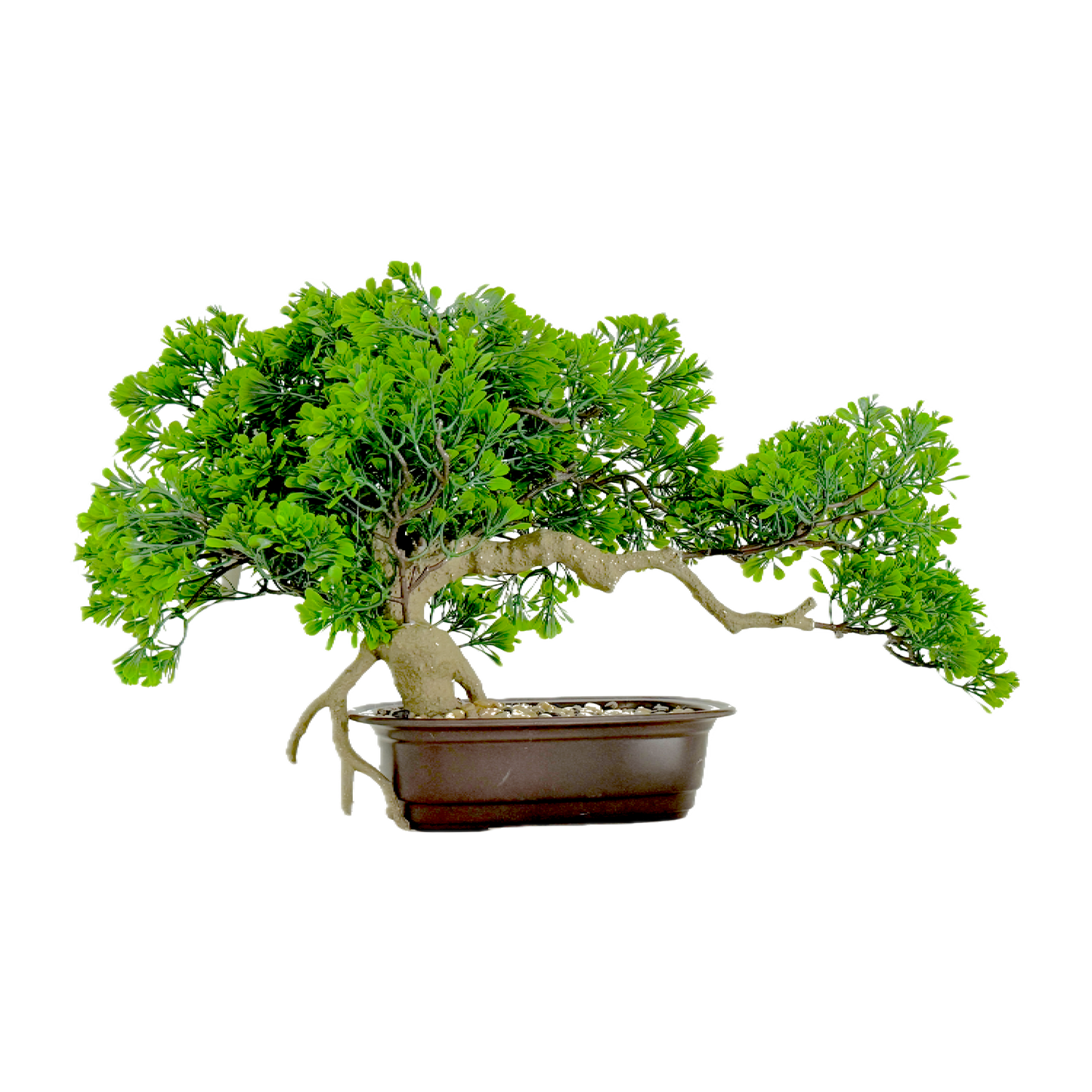 The Tranquil Bonsai: Nature’s art, sculpted in stillness.