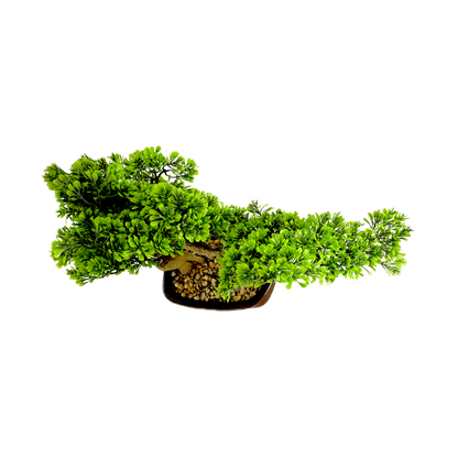 The Tranquil Bonsai: Nature’s art, sculpted in stillness.