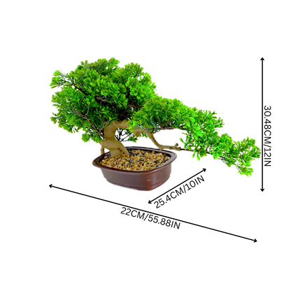 The Tranquil Bonsai: Nature’s art, sculpted in stillness.